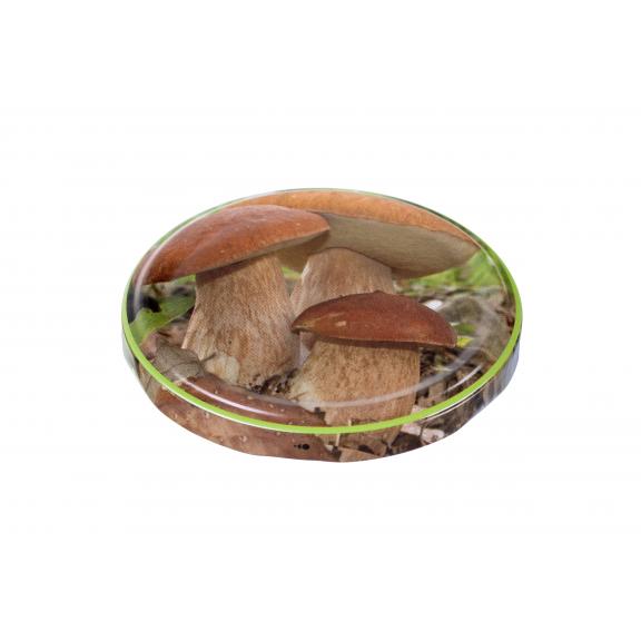 Twist-off lids - TWIST-OFF lid mushrooms